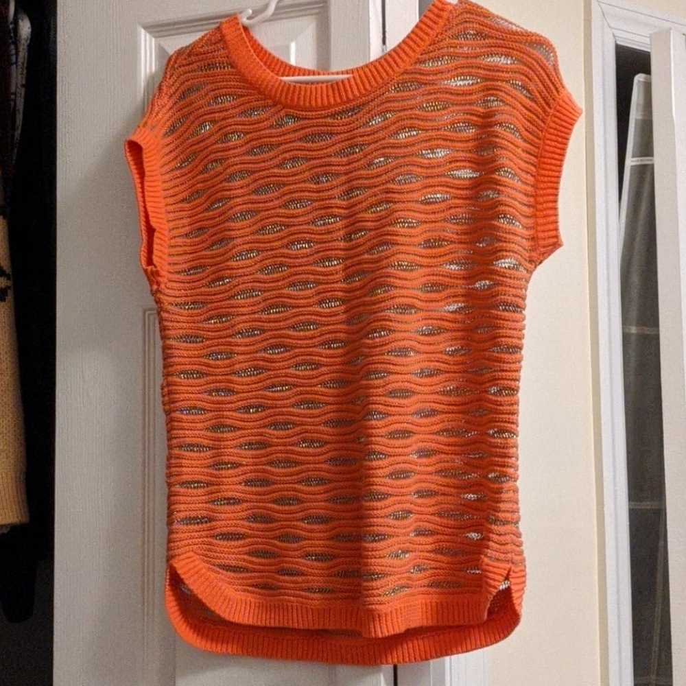 Ann Taylor Shimmering Sweater